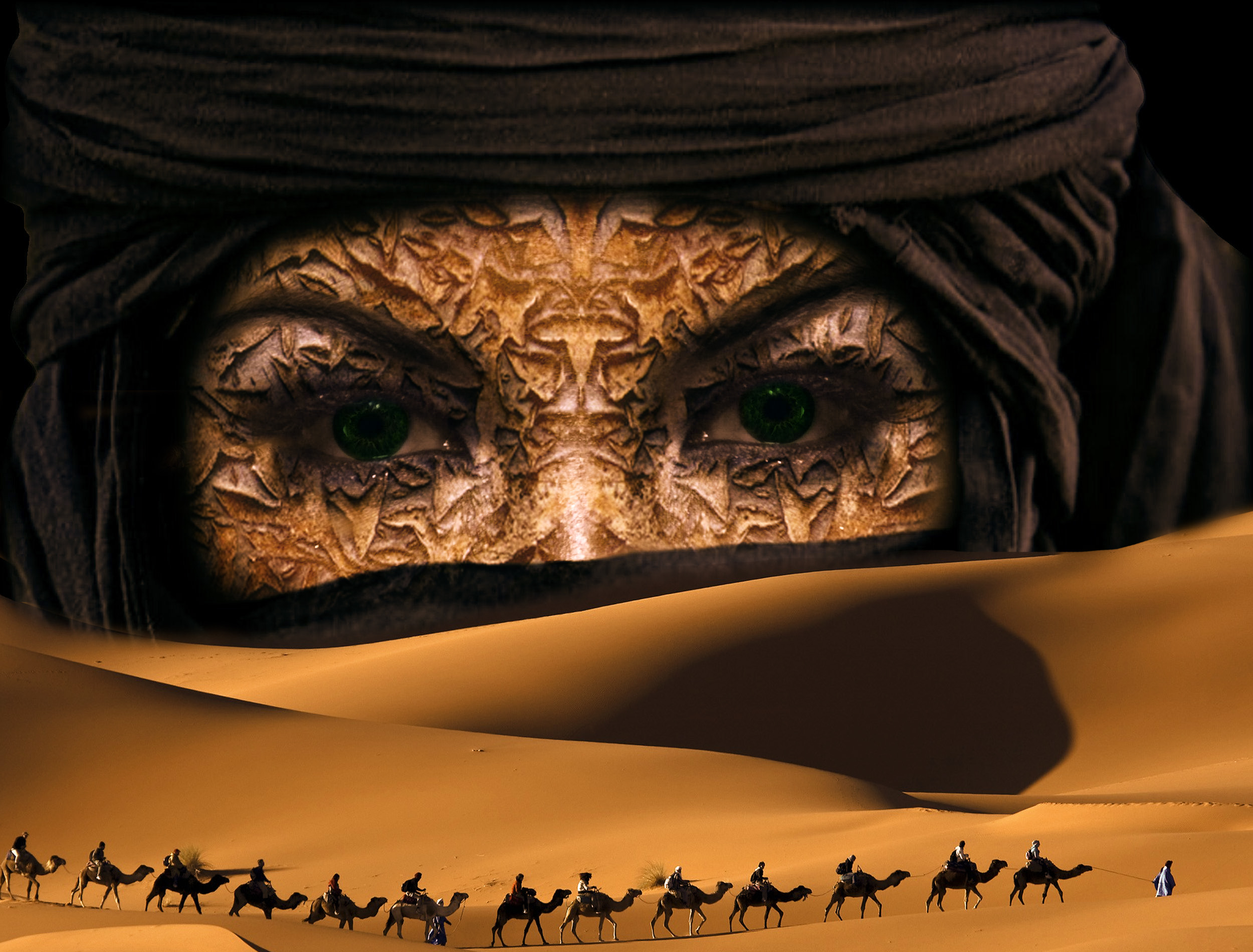 TCfactory's profile picture