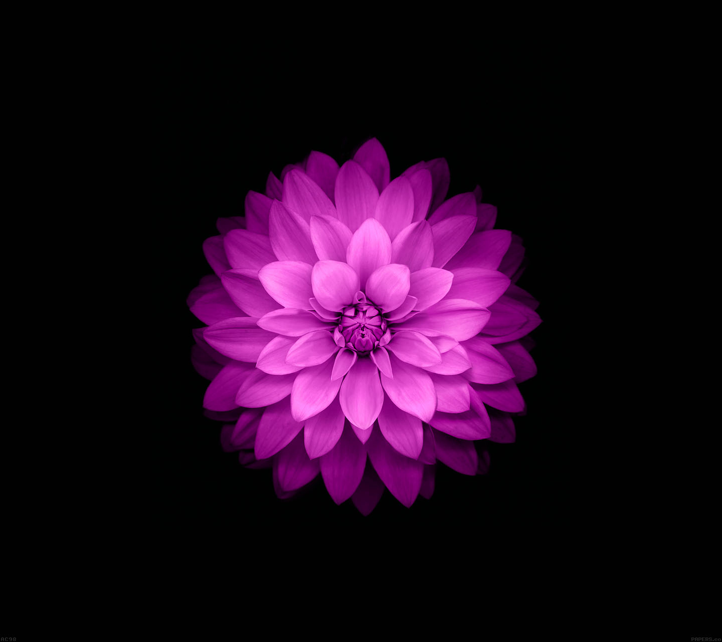 ranjanchithral's profile picture