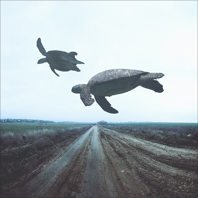 Topraktan's profile picture