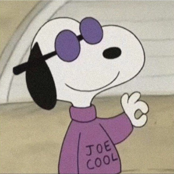 Joe Cool's profile picture