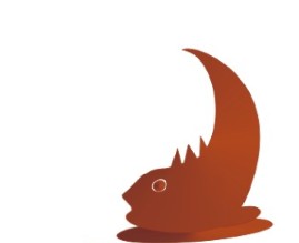 AdroMeda's profile picture