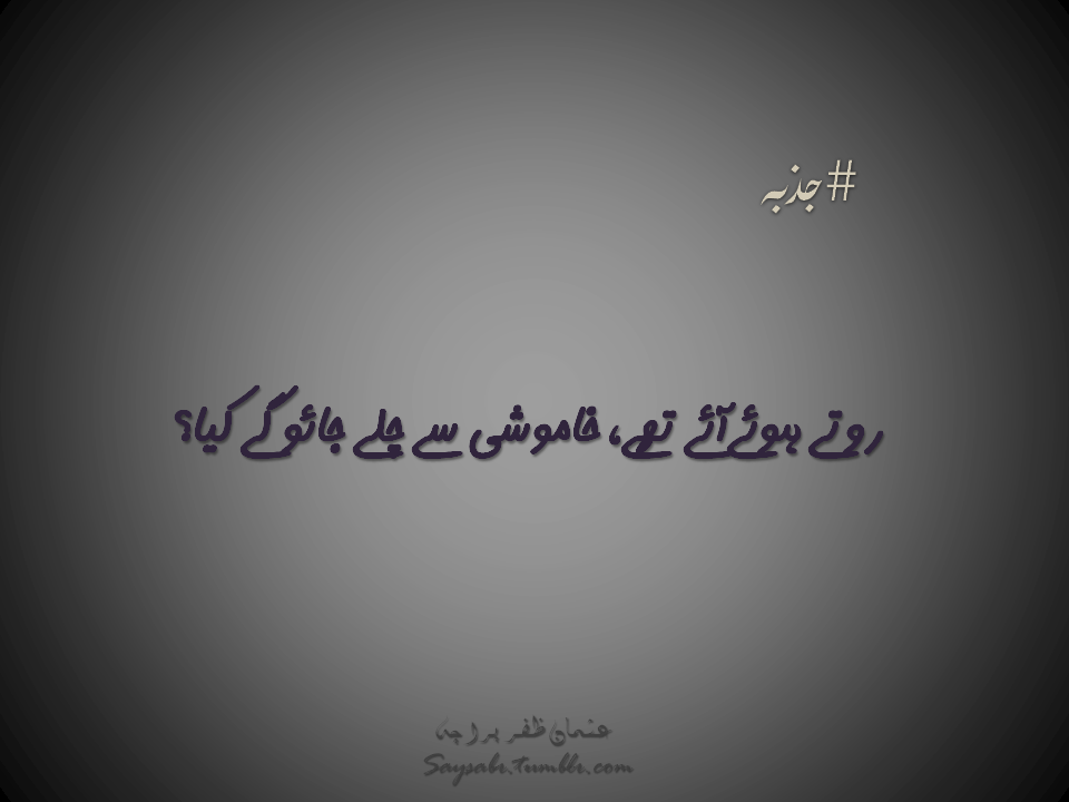 uzparacha's profile picture