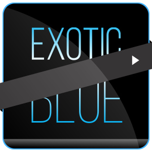 Exotic Blue's profile picture