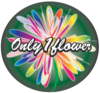 only1flower