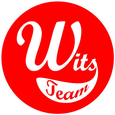 witsteam's profile picture