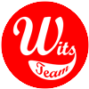 witsteam