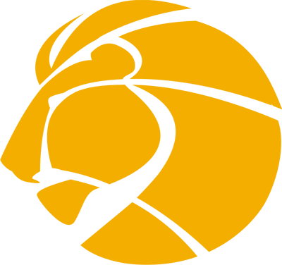 Liongraphics's profile picture