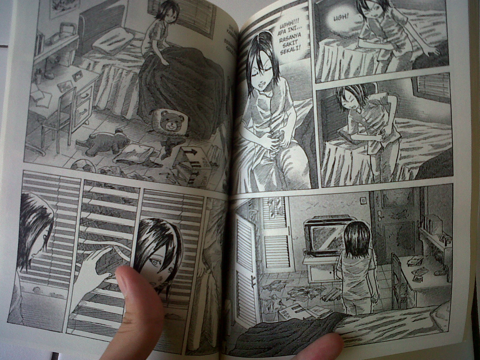 Ghaida Sachi's profile picture