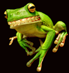 twistedFrog