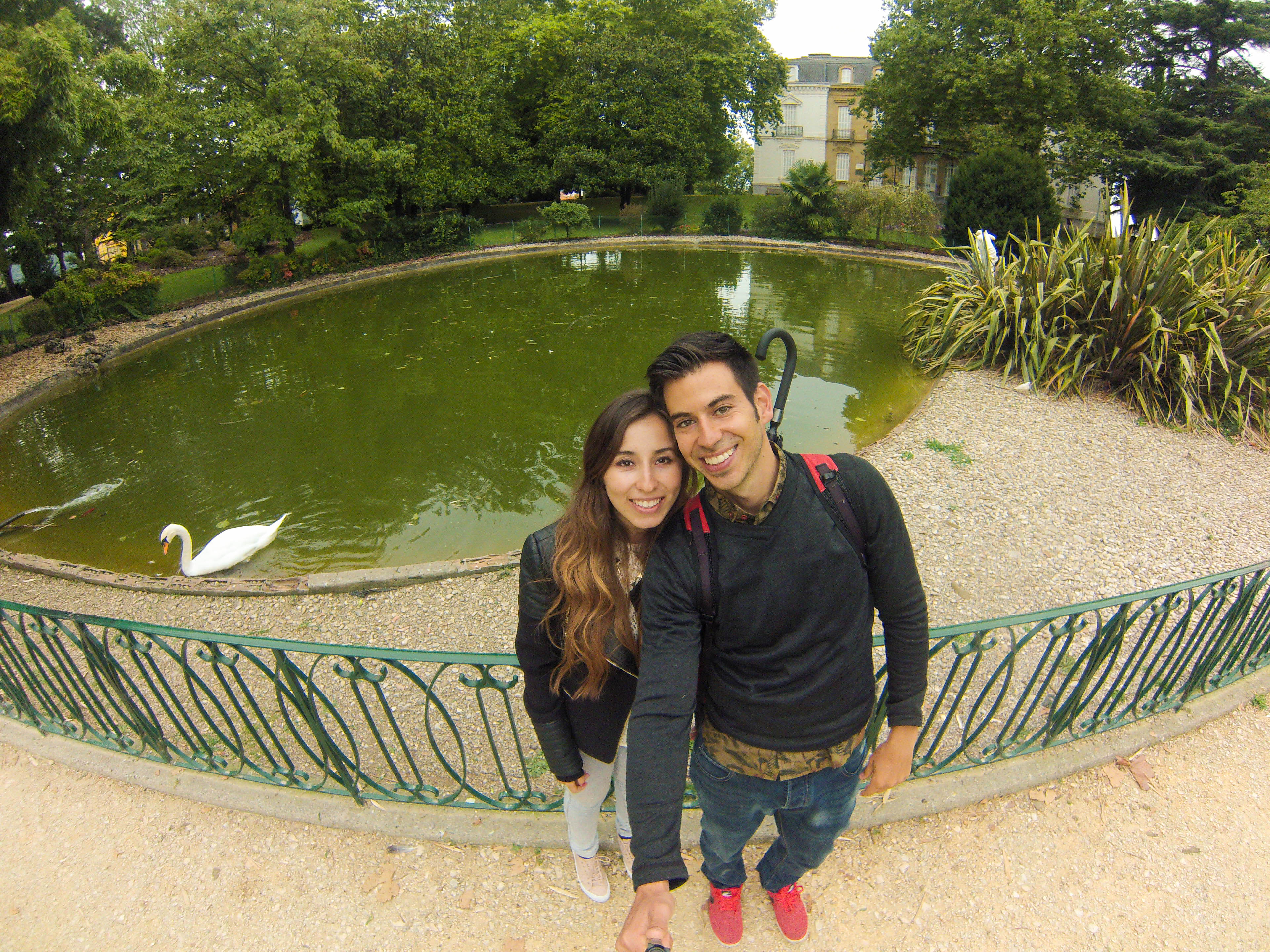 albaflofig's profile picture