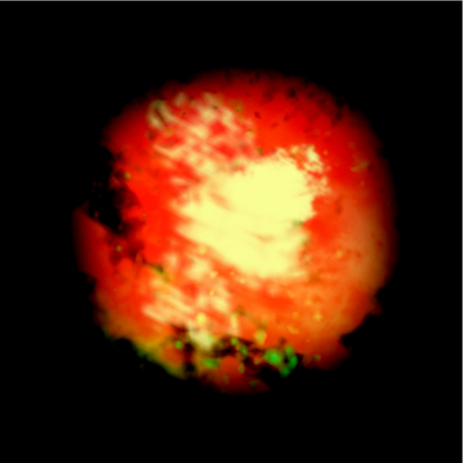4green2power0's profile picture