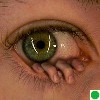 strela1's profile picture