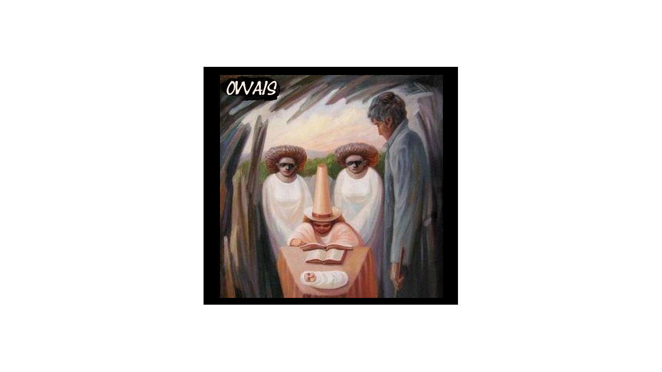 owaisphudinawala's profile picture