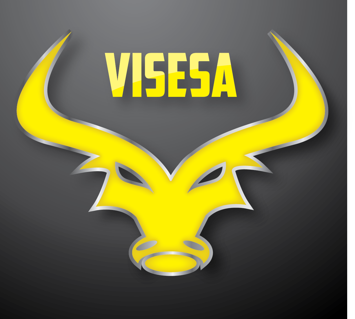 visesa's profile picture