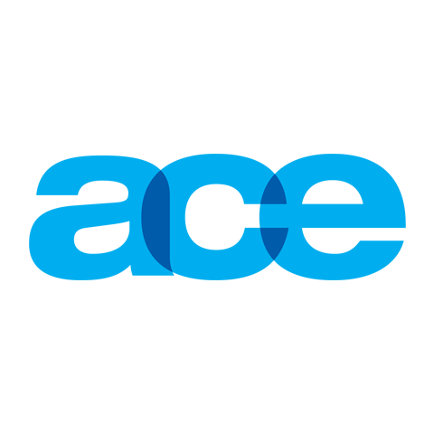 Ace Infoway's profile picture