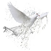 CreacionDesigual's profile picture
