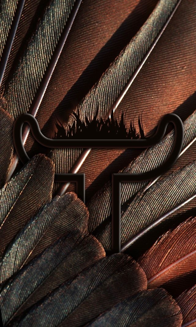 Tatanka Design's profile picture