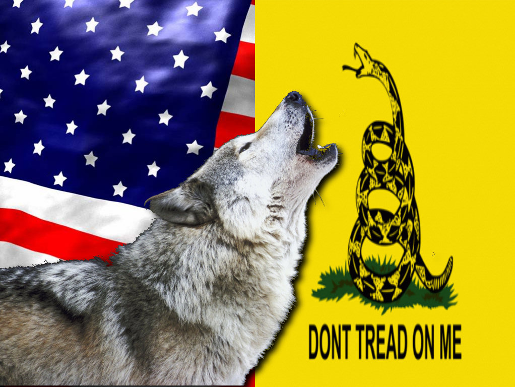 WolfieHowls's profile picture