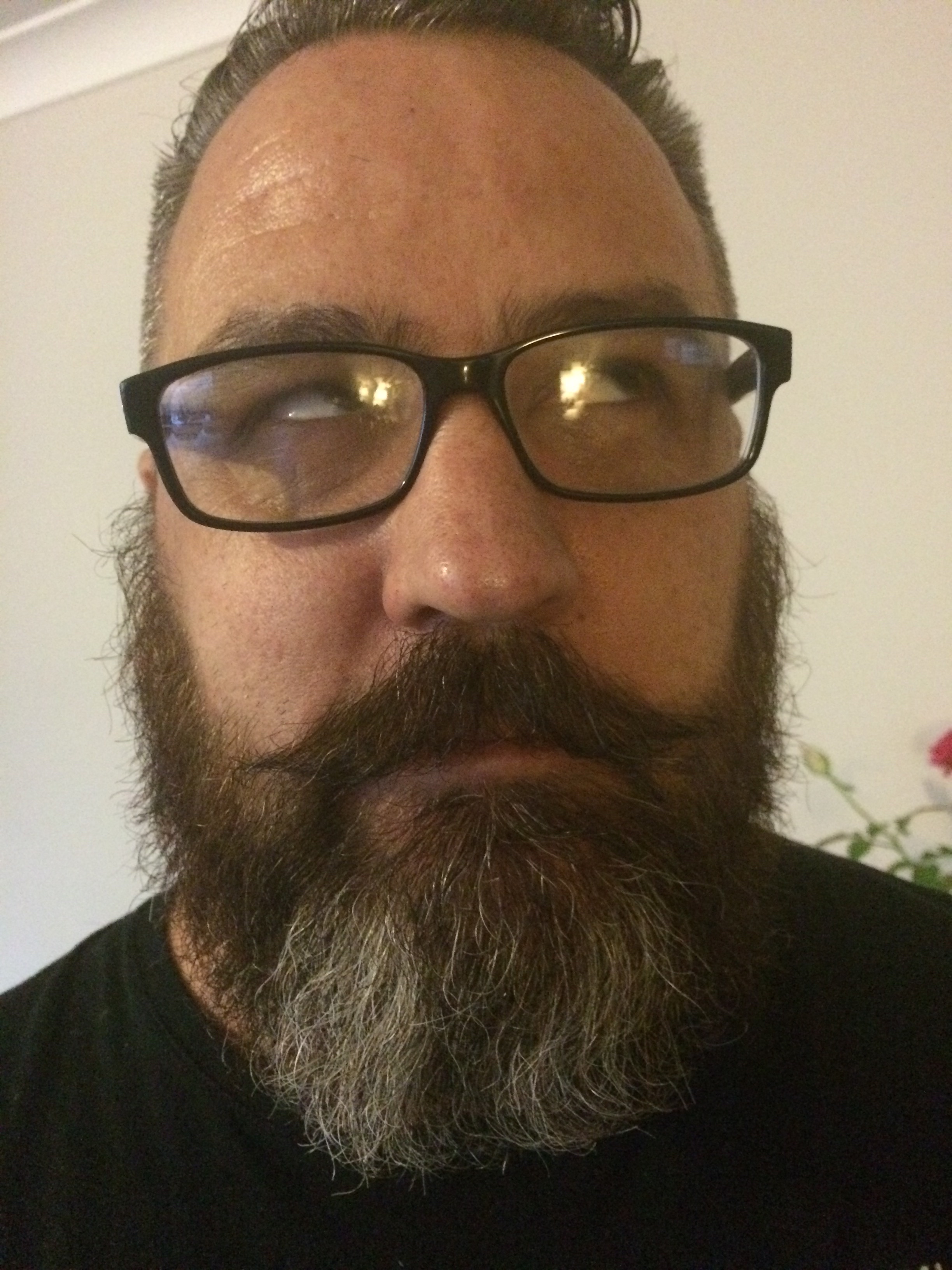 joe Thorley's profile picture