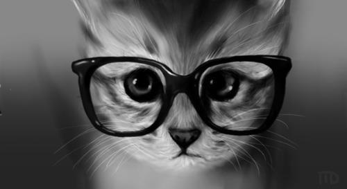 shubhu's profile picture