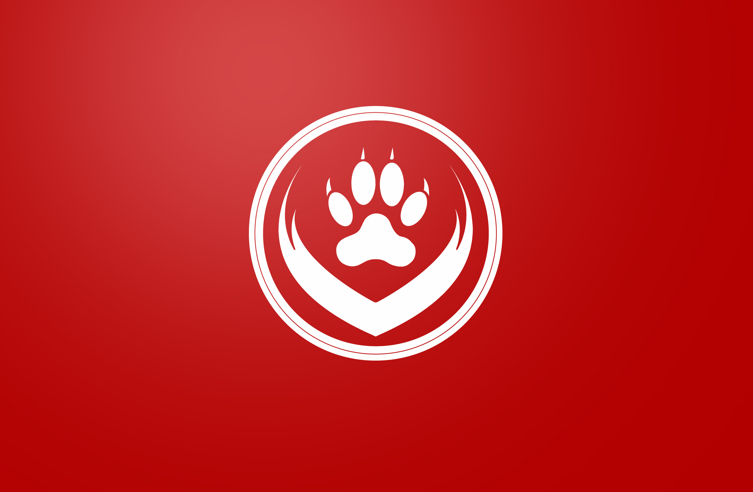 Aeron Wolffs's profile picture