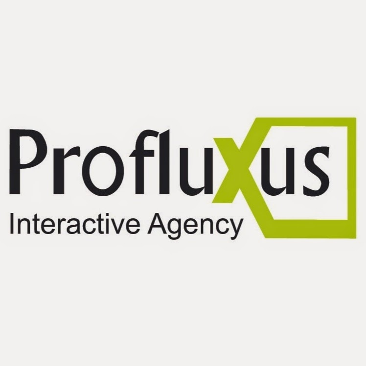 Profluxus Interactive Agency's profile picture