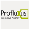Profluxus Interactive Agency