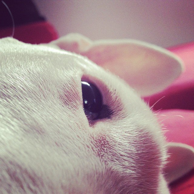 Mónica Santos's profile picture