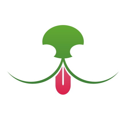 ilatmelet's profile picture