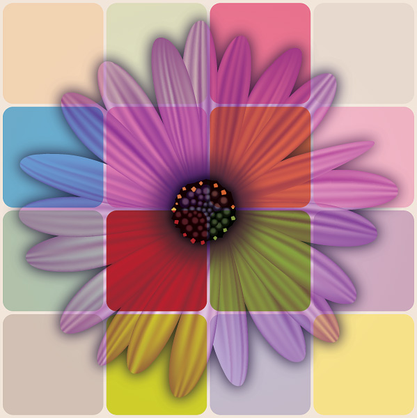 HindYas's profile picture