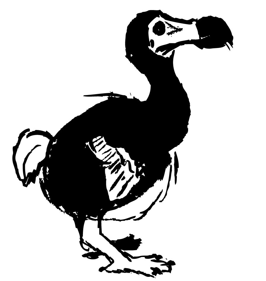 dodo_designers's profile picture