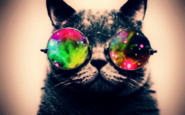 AwesomeKat's profile picture