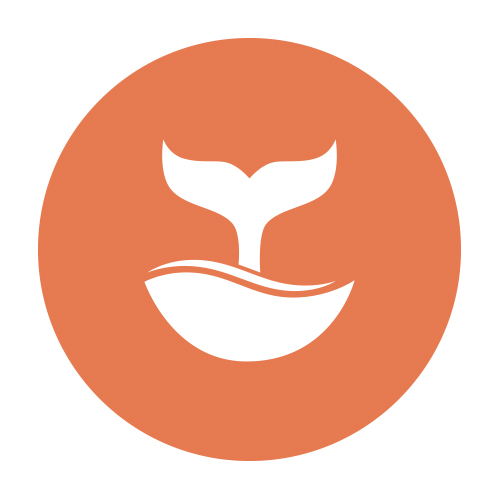 Webwhaledesigner's profile picture