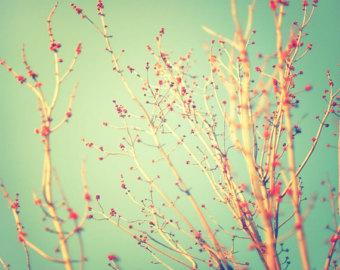 Luma design's profile picture