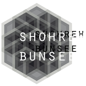 shohreh_b's profile picture