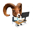 tuckerhumiston's profile picture
