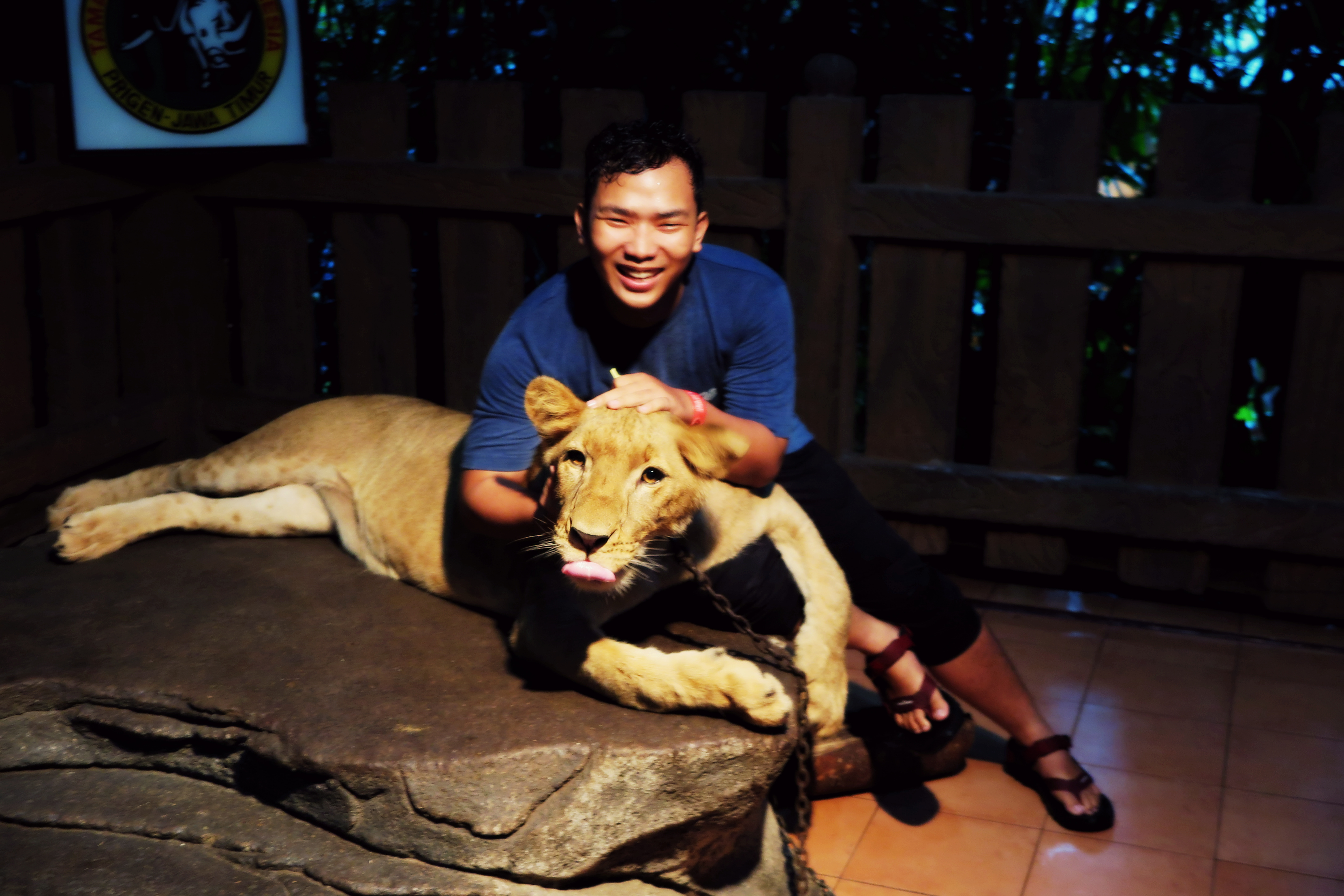 Adhitya Tri's profile picture