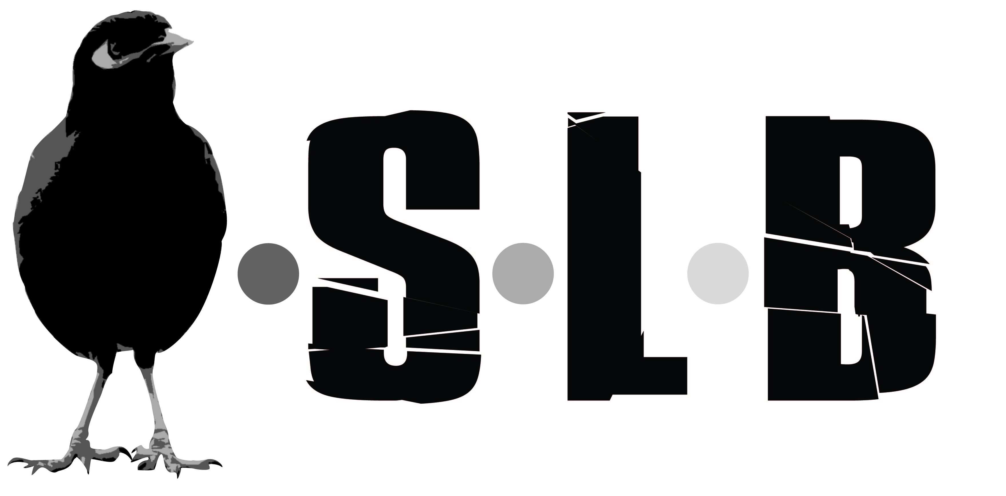 SLB Design's profile picture