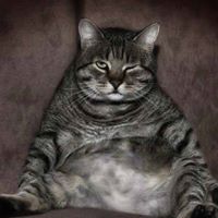 Basilio's profile picture