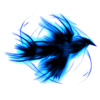 Graphic Nature Designs