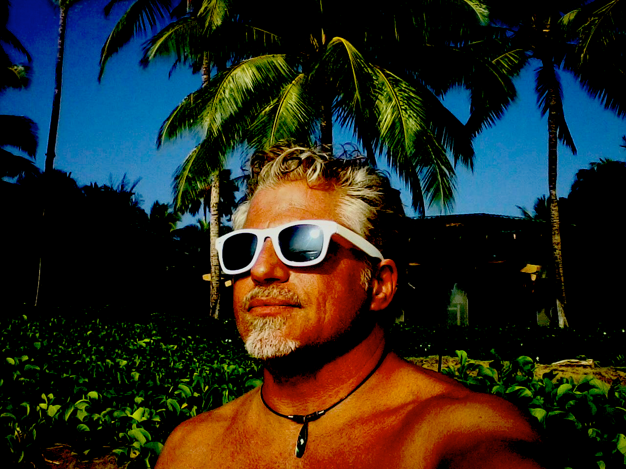 Lord.Greystoke77's profile picture