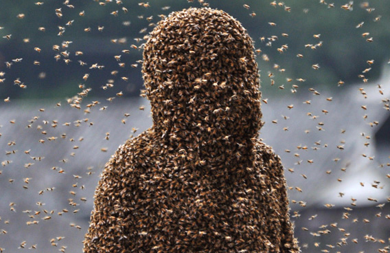 busy bee's profile picture