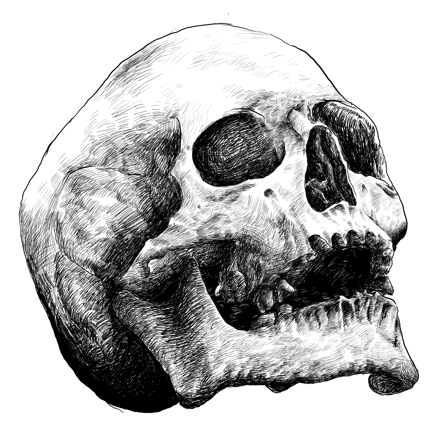 una_as's profile picture