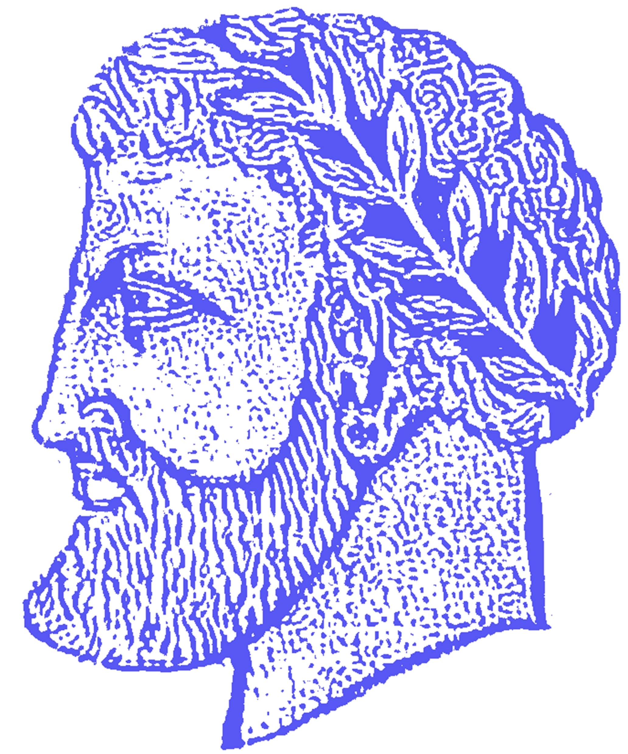 numids design's profile picture