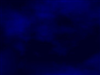carbonblue.com