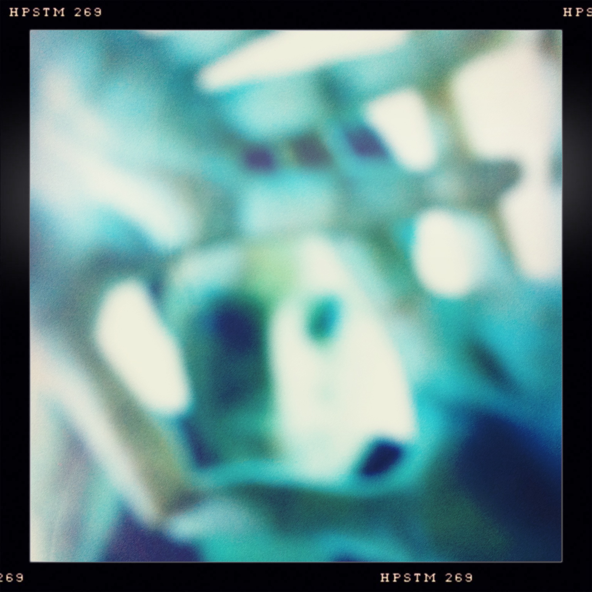 magictorch's profile picture