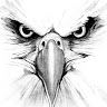 Ned Gee's profile picture