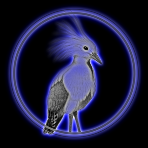 KaguDesign's profile picture