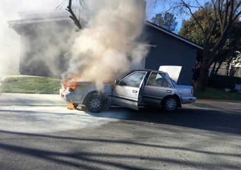 turkey turkey's profile picture