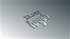 Silver Logo's